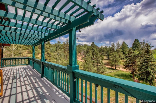 163 Big Horn Ln, Florissant, CO 80816 - photo 15