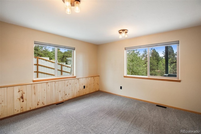 163 Big Horn Ln, Florissant, CO 80816 - photo 21
