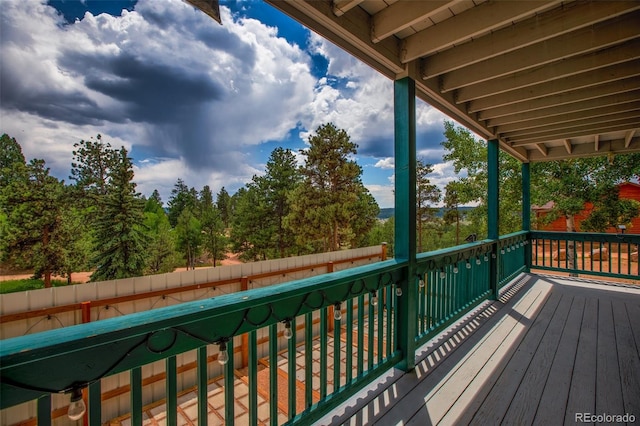 163 Big Horn Ln, Florissant, CO 80816 - photo 26