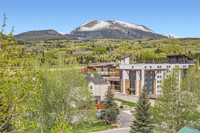 980 Lakepoint Dr Unit 202, Frisco, CO 80443