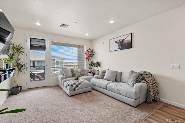 living room featuring light hardwood / wood-style floors