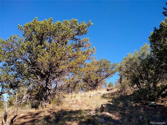 Listing photo - caption unavailable
