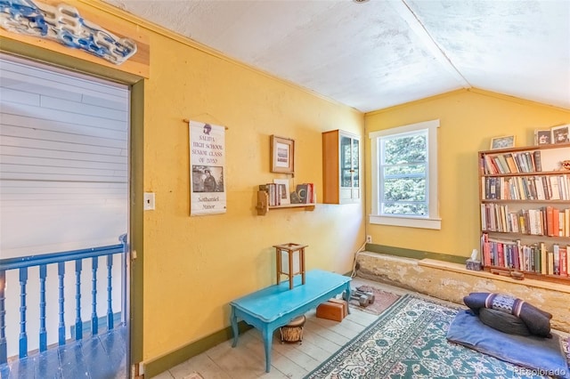 689 County Road 4, Howard, CO 81233 - sitting room featuring vaulted ceiling and wood finished floors