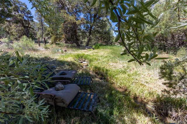 689 County Road 4, Howard, CO 81233 - view of yard