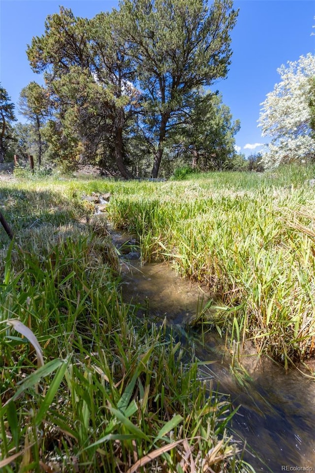 689 County Road 4, Howard, CO 81233 - view of yard