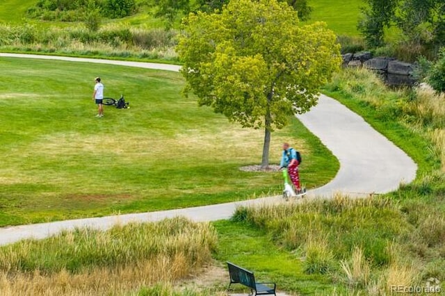 surrounding community with a lawn