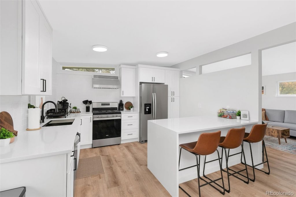 kitchen featuring white cabinets, ventilation hood, stainless steel appliances, and sink