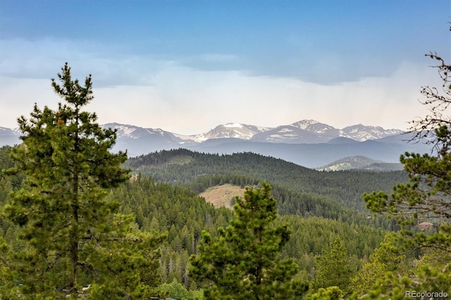 11 Eagles Nest Ln, Golden, CO 80403 - photo 15
