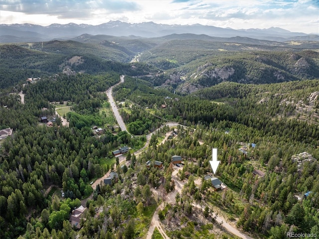 11 Eagles Nest Ln, Golden, CO 80403 - photo 39