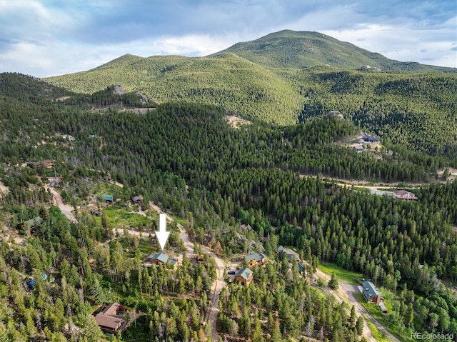 11 Eagles Nest Ln, Golden, CO 80403 - photo 40