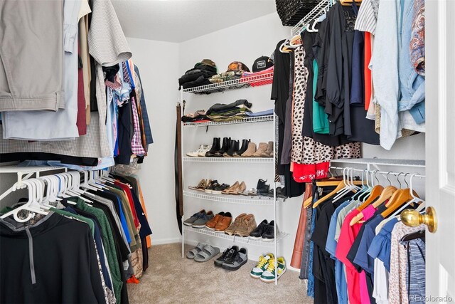 12942 Leyden St, Thornton, CO 80602 - walk in closet featuring carpet