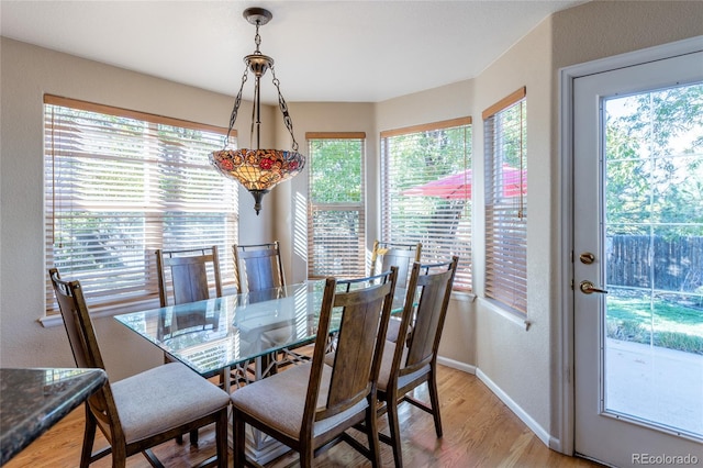 dining area with light hardwood / wood-style floors