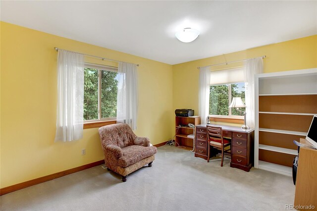 view of carpeted home office