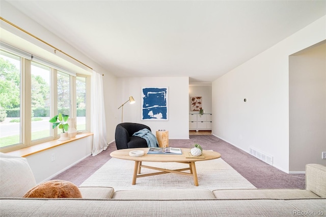 85 S Flower St, Lakewood, CO 80226 - living room featuring carpet, plenty of natural light, and baseboards