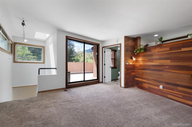 1805 Cheyenne Blvd, Colorado Springs, CO 80906 - carpeted spare room with a skylight, wood walls, track lighting, and a healthy amount of sunlight