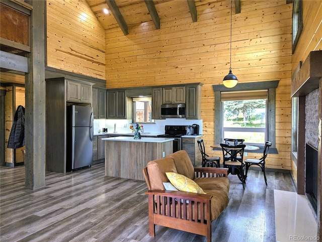 1857 Sturm Ln, Fort Garland, CO 81133 - kitchen featuring appliances with stainless steel finishes, high vaulted ceiling, wooden walls, plenty of natural light, and a center island