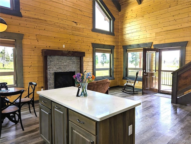 1857 Sturm Ln, Fort Garland, CO 81133 - kitchen with wood walls, a towering ceiling, open floor plan, dark wood-type flooring, and a stone fireplace