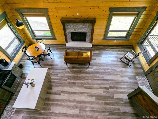 1857 Sturm Ln, Fort Garland, CO 81133 - living area featuring healthy amount of natural light, wood finished floors, wooden walls, and a fireplace
