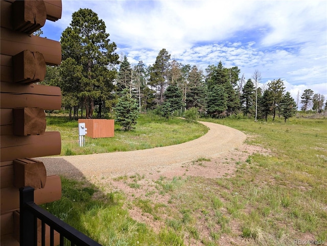 1857 Sturm Ln, Fort Garland, CO 81133 - view of yard