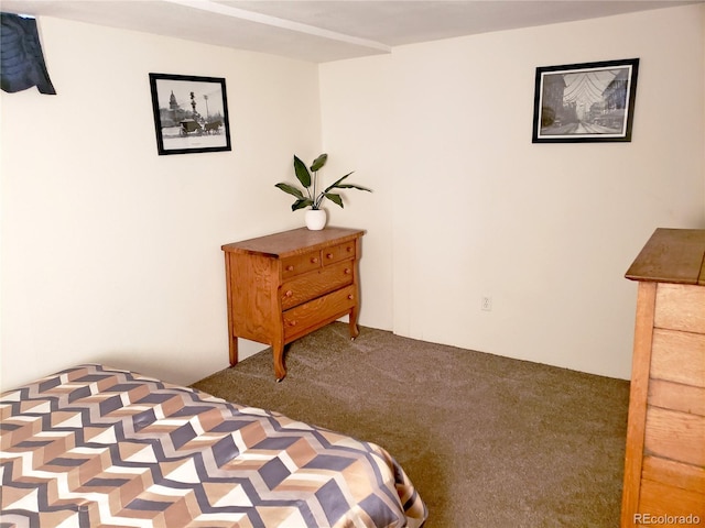 bedroom featuring carpet