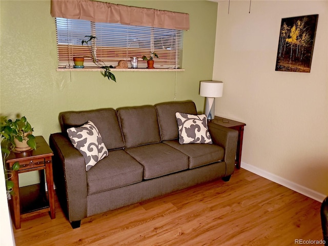 living room featuring hardwood / wood-style flooring