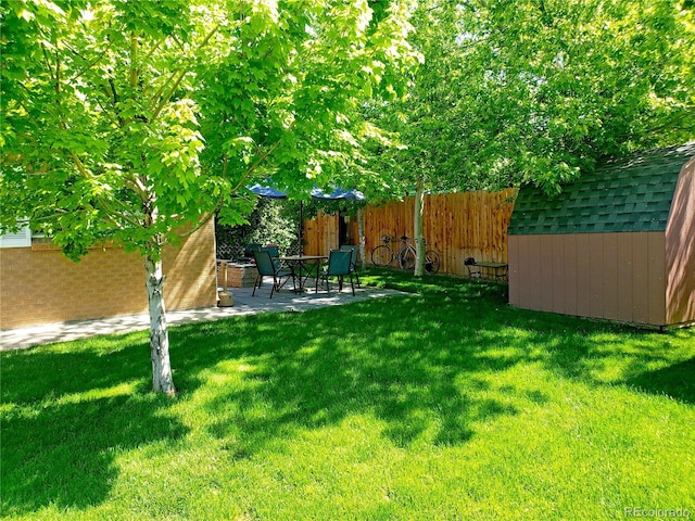 view of yard with a shed and a patio area