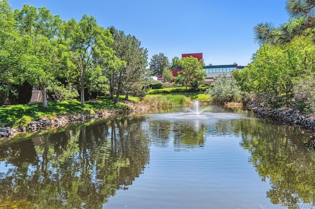 2330 S Salem Cir, Aurora, CO 80014 - water view