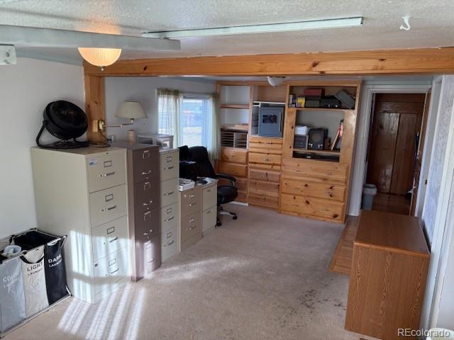 office featuring light carpet and a textured ceiling