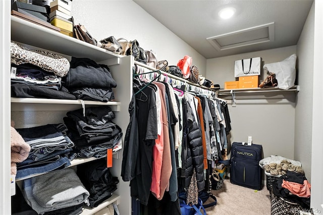 1670 Vantage Pkwy, Berthoud, CO 80513 - walk in closet featuring attic access and carpet floors