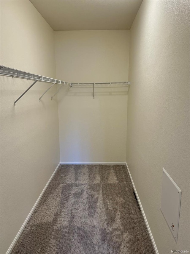 17346 Nature Walk Trl Unit 105, Parker, CO 80134 - spacious closet with carpet floors