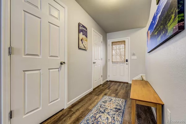 doorway with dark hardwood / wood-style flooring