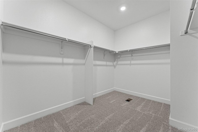 spacious closet featuring carpet flooring