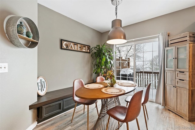 997 Burning Bush Pt, Monument, CO 80132 - dining room featuring light wood finished floors