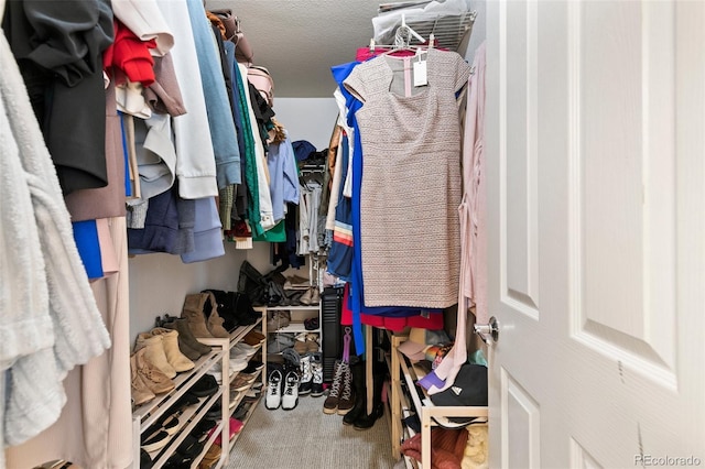 997 Burning Bush Pt, Monument, CO 80132 - spacious closet with carpet flooring