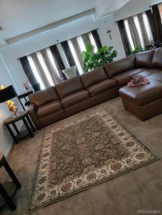 view of carpeted living room