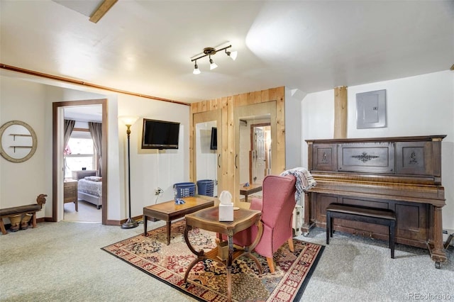 351 Badger Cir, Guffey, CO 80820 - living area featuring carpet flooring and electric panel