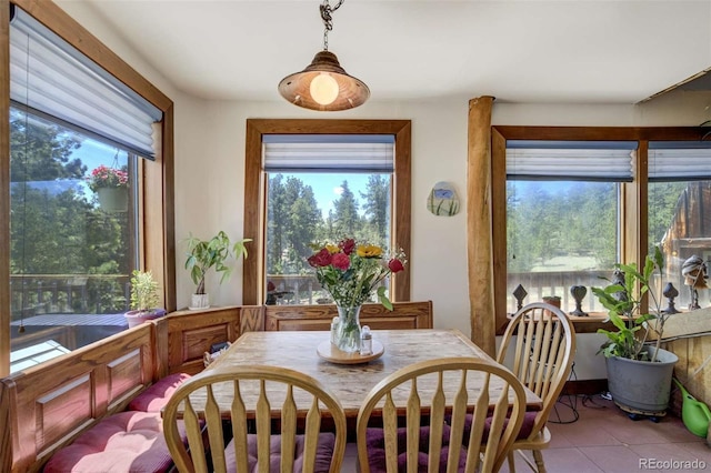 351 Badger Cir, Guffey, CO 80820 - dining area with plenty of natural light and tile patterned floors