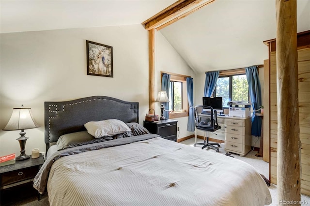 351 Badger Cir, Guffey, CO 80820 - bedroom with carpet and baseboards
