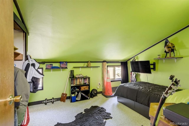 351 Badger Cir, Guffey, CO 80820 - bedroom with carpet flooring and baseboards