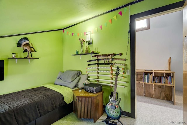 351 Badger Cir, Guffey, CO 80820 - bedroom featuring carpet flooring