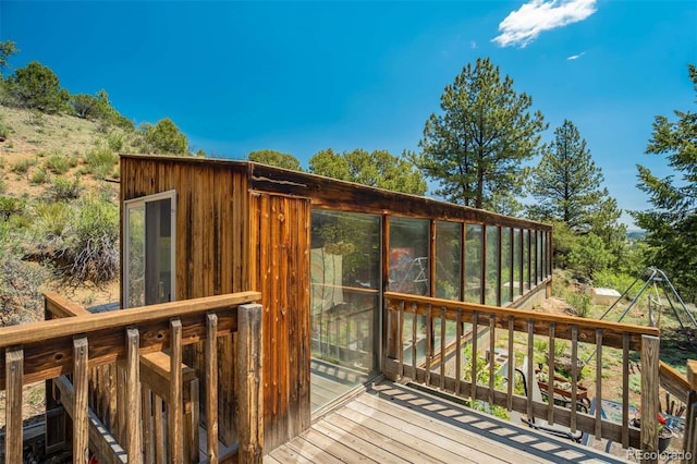 351 Badger Cir, Guffey, CO 80820 - view of deck