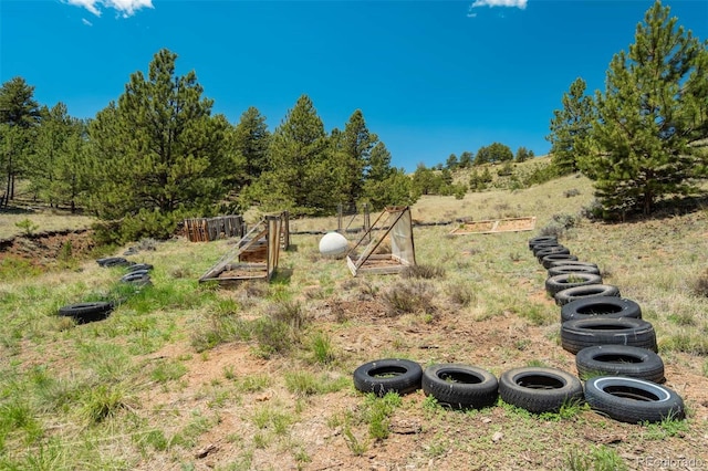 351 Badger Cir, Guffey, CO 80820 - view of yard