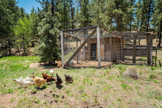 351 Badger Cir, Guffey, CO 80820 - view of yard featuring exterior structure and an outdoor structure