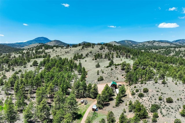 351 Badger Cir, Guffey, CO 80820 - view of mountain background