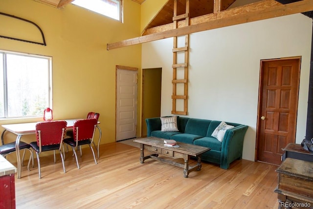 3190 Forest Road 503, Creede, CO 81130 - photo 2