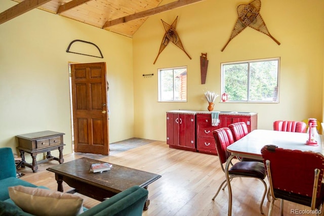3190 Forest Road 503, Creede, CO 81130 - photo 4