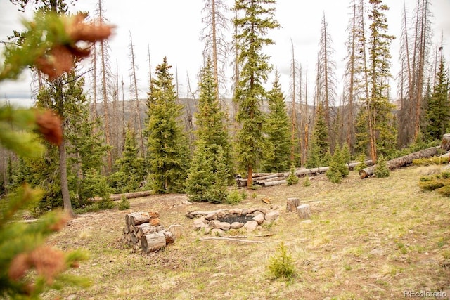 3190 Forest Road 503, Creede, CO 81130 - photo 7