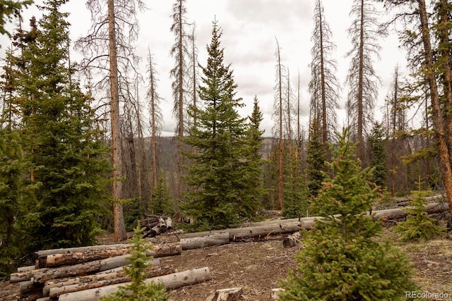 3190 Forest Road 503, Creede, CO 81130 - photo 9