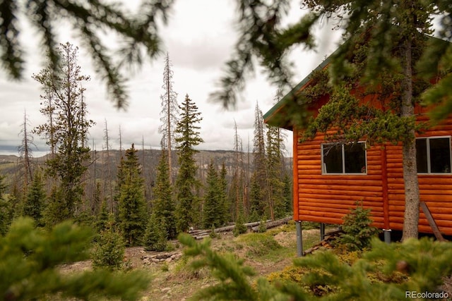 3190 Forest Road 503, Creede, CO 81130 - photo 10