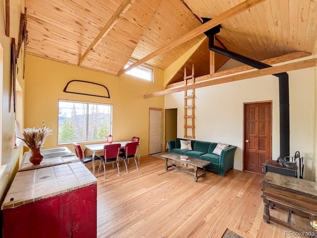 3190 Forest Road 503, Creede, CO 81130 - photo 15